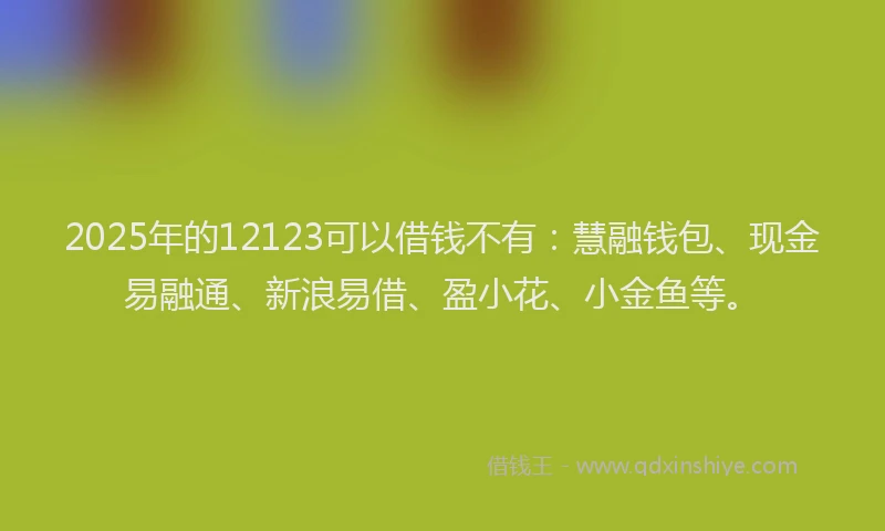 2025年的12123可以借钱不有：慧融钱包、现金易融通、新浪易借、盈小花、小金鱼等。