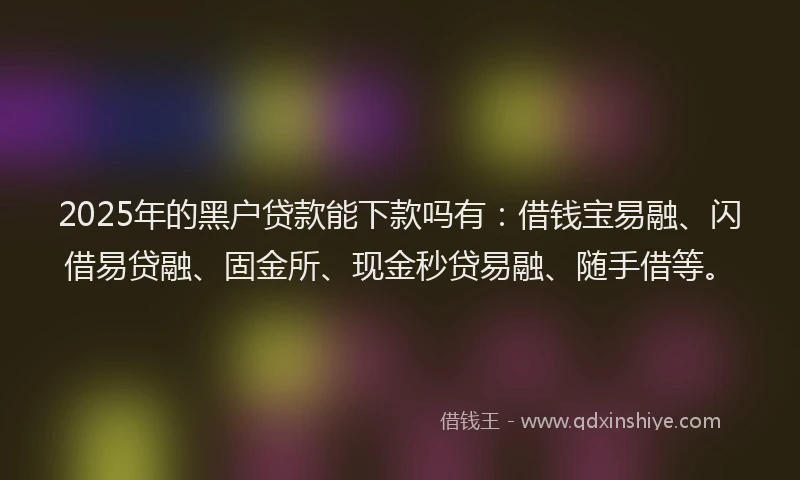 2025年的黑户贷款能下款吗有：借钱宝易融、闪借易贷融、固金所、现金秒贷易融、随手借等。