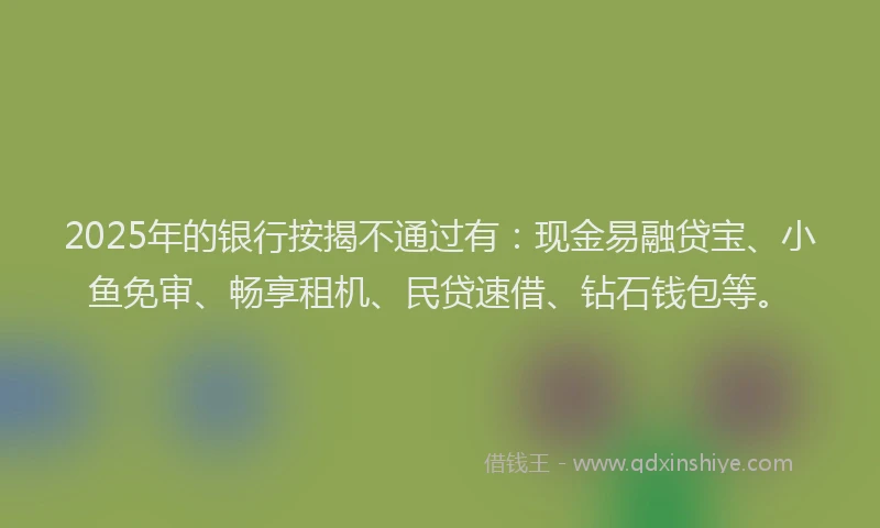 2025年的银行按揭不通过有：现金易融贷宝、小鱼免审、畅享租机、民贷速借、钻石钱包等。