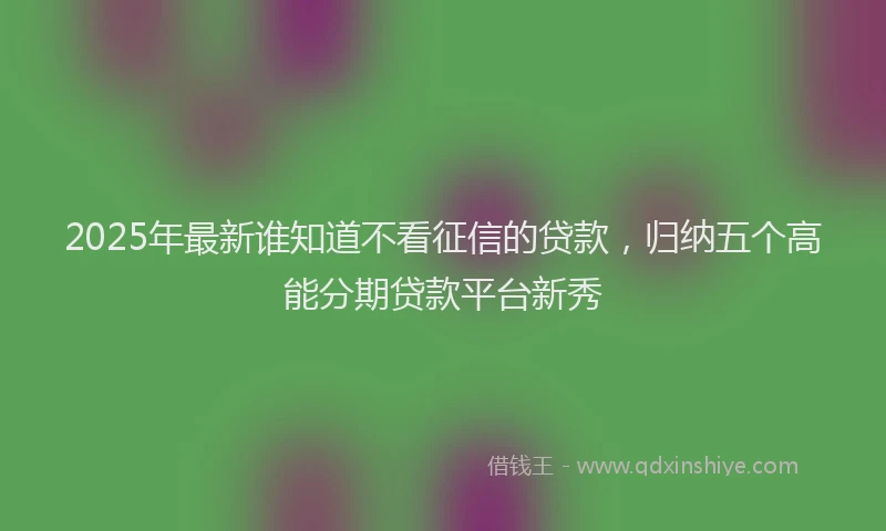 2025年最新谁知道不看征信的贷款，归纳五个高能分期贷款平台新秀