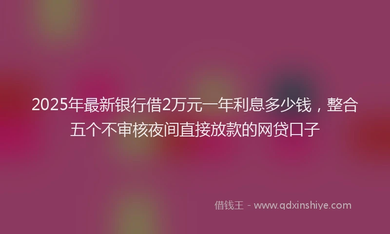2025年最新银行借2万元一年利息多少钱，整合五个不审核夜间直接放款的网贷口子