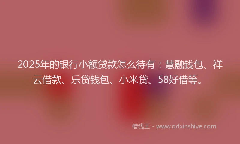 2025年的银行小额贷款怎么待有：慧融钱包、祥云借款、乐贷钱包、小米贷、58好借等。