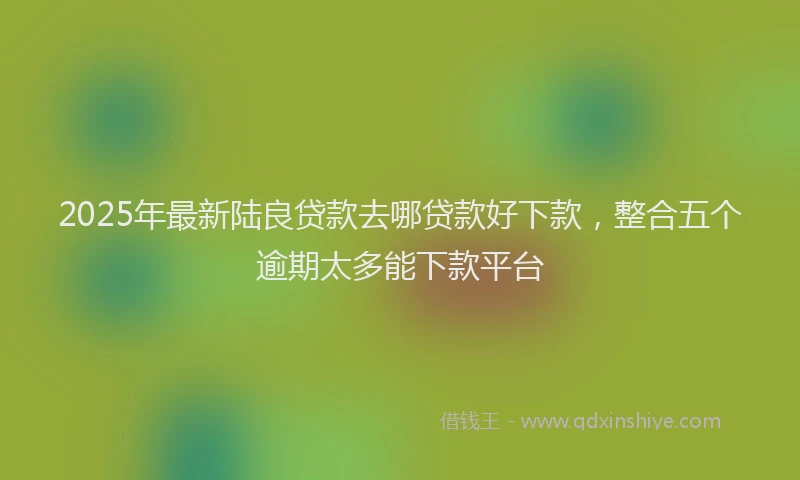 2025年最新陆良贷款去哪贷款好下款，整合五个逾期太多能下款平台