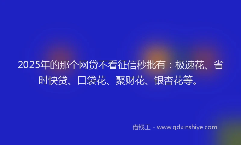 2025年的那个网贷不看征信秒批有：极速花、省时快贷、口袋花、聚财花、银杏花等。