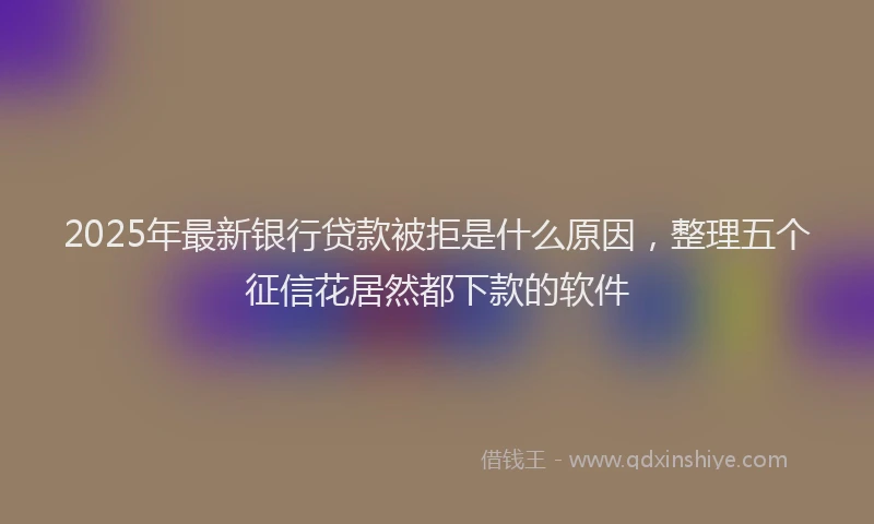 2025年最新银行贷款被拒是什么原因，整理五个征信花居然都下款的软件