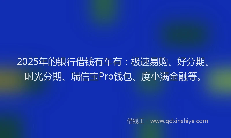 2025年的银行借钱有车有：极速易购、好分期、时光分期、瑞信宝Pro钱包、度小满金融等。
