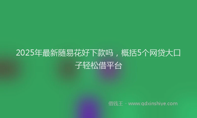2025年最新随易花好下款吗，概括5个网贷大口子轻松借平台