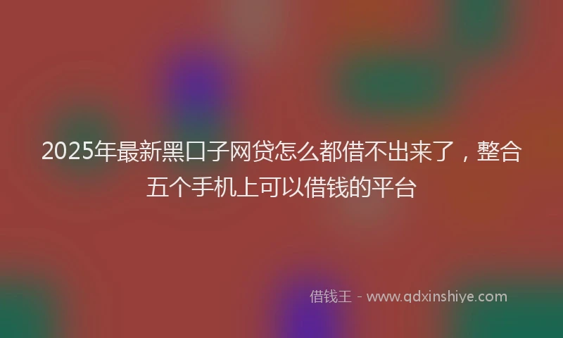 2025年最新黑口子网贷怎么都借不出来了，整合五个手机上可以借钱的平台