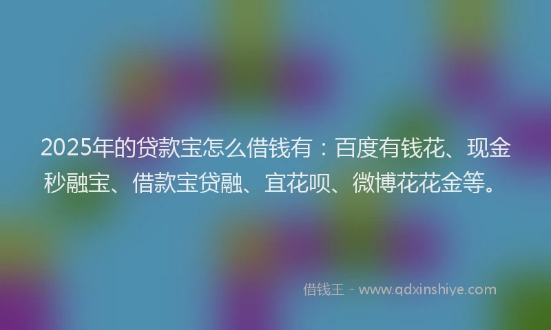 2025年的贷款宝怎么借钱有：百度有钱花、现金秒融宝、借款宝贷融、宜花呗、微博花花金等。