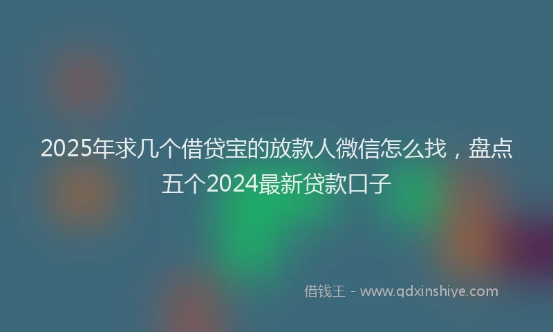 2025年求几个借贷宝的放款人微信怎么找，盘点五个2024最新贷款口子