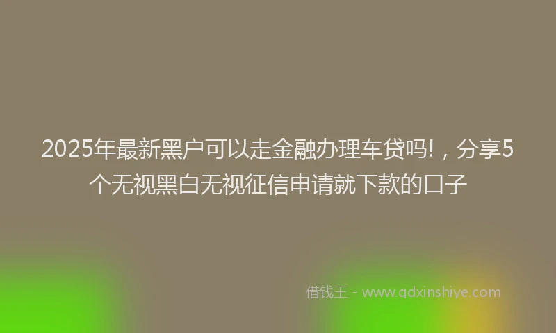 2025年最新黑户可以走金融办理车贷吗!，分享5个无视黑白无视征信申请就下款的口子