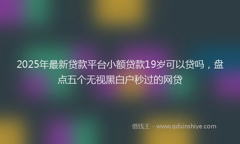 2025年最新贷款平台小额贷款19岁可以贷吗，盘点五个无视黑白户秒过的网贷