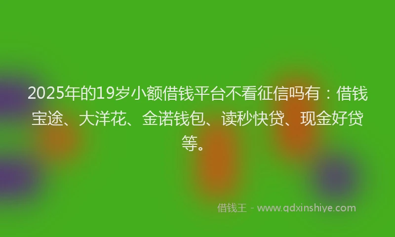 2025年的19岁小额借钱平台不看征信吗有：借钱宝途、大洋花、金诺钱包、读秒快贷、现金好贷等。