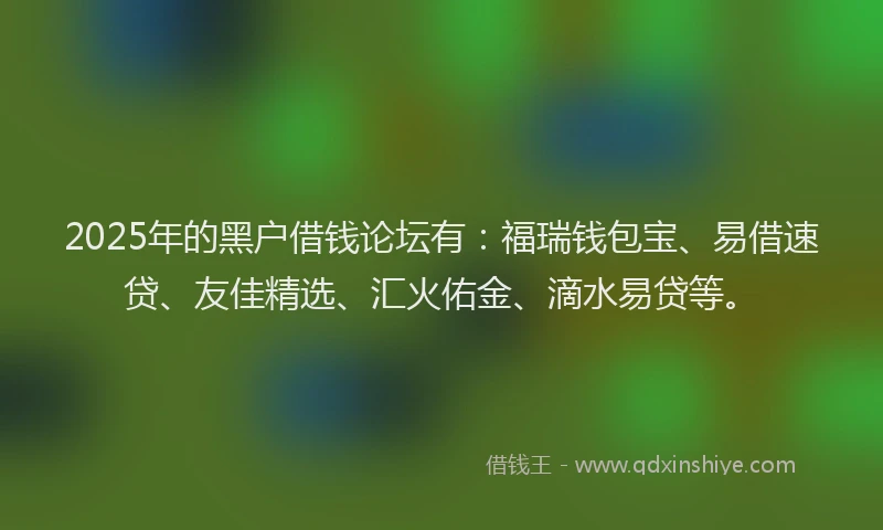 2025年的黑户借钱论坛有：福瑞钱包宝、易借速贷、友佳精选、汇火佑金、滴水易贷等。