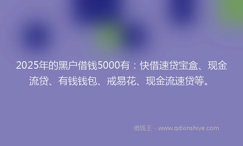 2025年的黑户借钱5000有：快借速贷宝盒、现金流贷、有钱钱包、戒易花、现金流速贷等。