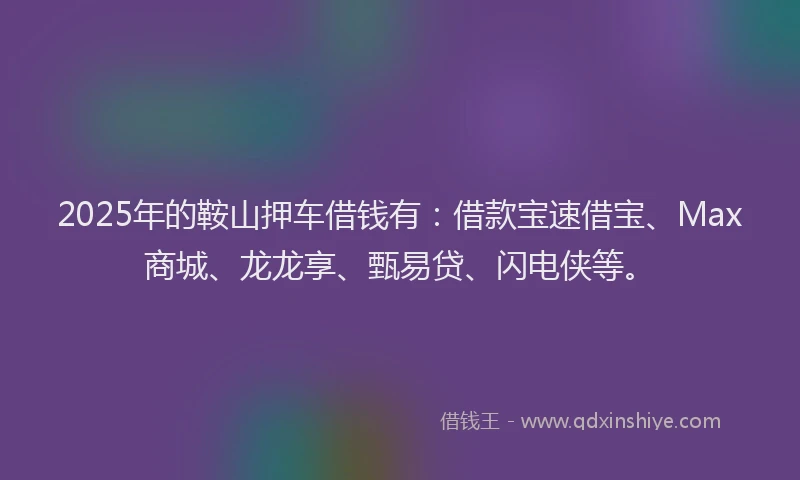 2025年的鞍山押车借钱有：借款宝速借宝、Max商城、龙龙享、甄易贷、闪电侠等。