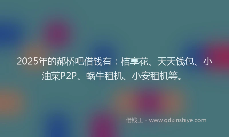 2025年的郝桥吧借钱有：桔享花、天天钱包、小油菜P2P、蜗牛租机、小安租机等。