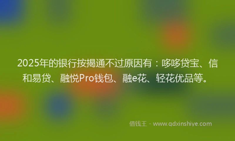 2025年的银行按揭通不过原因有：哆哆贷宝、信和易贷、融悦Pro钱包、融e花、轻花优品等。
