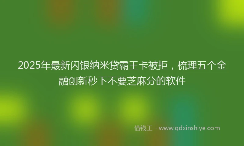 2025年最新闪银纳米贷霸王卡被拒，梳理五个金融创新秒下不要芝麻分的软件
