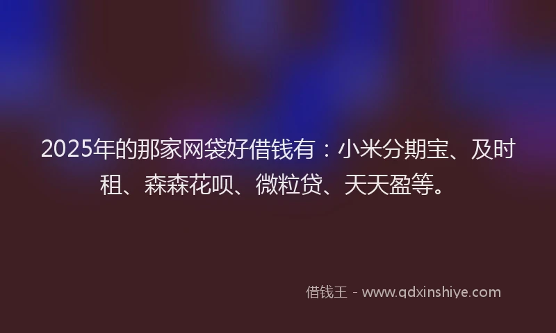 2025年的那家网袋好借钱有：小米分期宝、及时租、森森花呗、微粒贷、天天盈等。