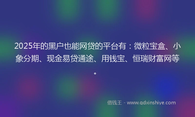 2025年的黑户也能网贷的平台有：微粒宝盒、小象分期、现金易贷通途、用钱宝、恒瑞财富网等。