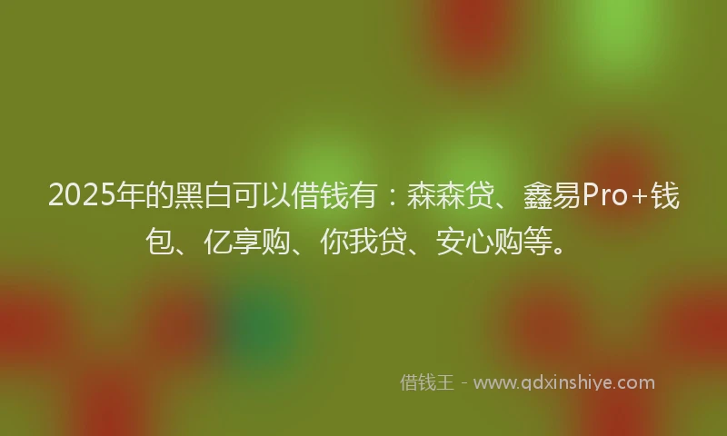 2025年的黑白可以借钱有：森森贷、鑫易Pro+钱包、亿享购、你我贷、安心购等。