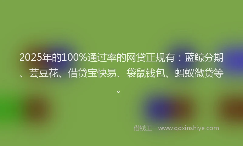 2025年的100%通过率的网贷正规有：蓝鲸分期、芸豆花、借贷宝快易、袋鼠钱包、蚂蚁微贷等。