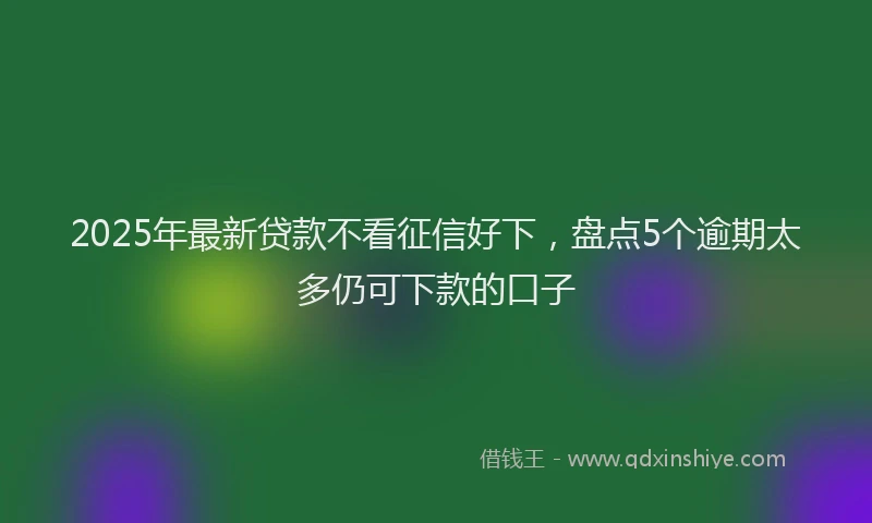 2025年最新贷款不看征信好下，盘点5个逾期太多仍可下款的口子