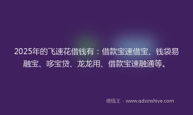 2025年的飞速花借钱有：借款宝速借宝、钱袋易融宝、哆宝贷、龙龙用、借款宝速融通等。