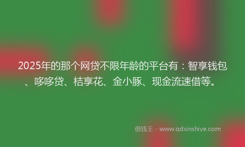 2025年的那个网贷不限年龄的平台有：智享钱包、哆哆贷、桔享花、金小豚、现金流速借等。