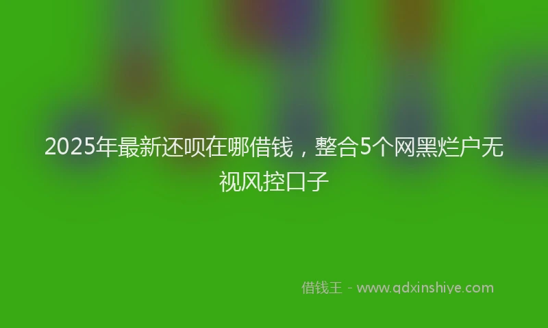 2025年最新还呗在哪借钱，整合5个网黑烂户无视风控口子