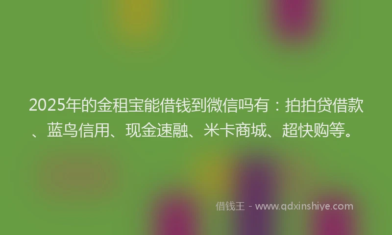 2025年的金租宝能借钱到微信吗有：拍拍贷借款、蓝鸟信用、现金速融、米卡商城、超快购等。
