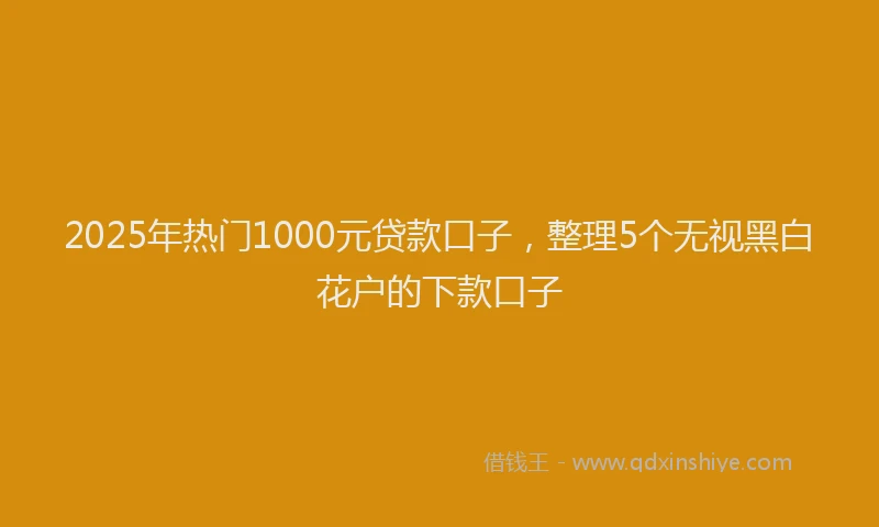 2025年热门1000元贷款口子，整理5个无视黑白花户的下款口子
