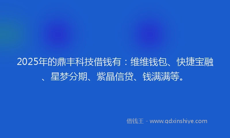 2025年的鼎丰科技借钱有：维维钱包、快捷宝融、星梦分期、紫晶信贷、钱满满等。