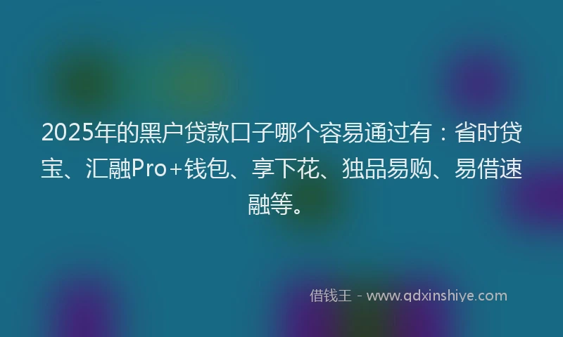 2025年的黑户贷款口子哪个容易通过有：省时贷宝、汇融Pro+钱包、享下花、独品易购、易借速融等。