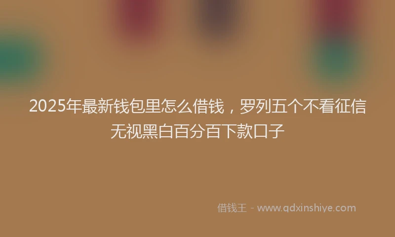 2025年最新钱包里怎么借钱，罗列五个不看征信无视黑白百分百下款口子
