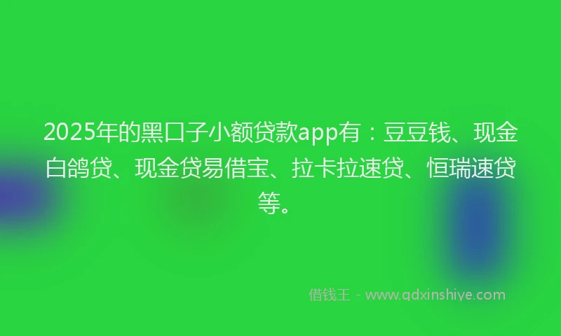 2025年的黑口子小额贷款app有：豆豆钱、现金白鸽贷、现金贷易借宝、拉卡拉速贷、恒瑞速贷等。