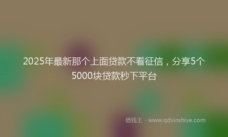 2025年最新那个上面贷款不看征信，分享5个5000块贷款秒下平台