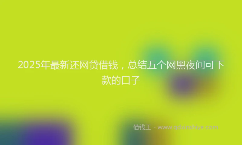 2025年最新还网贷借钱，总结五个网黑夜间可下款的口子