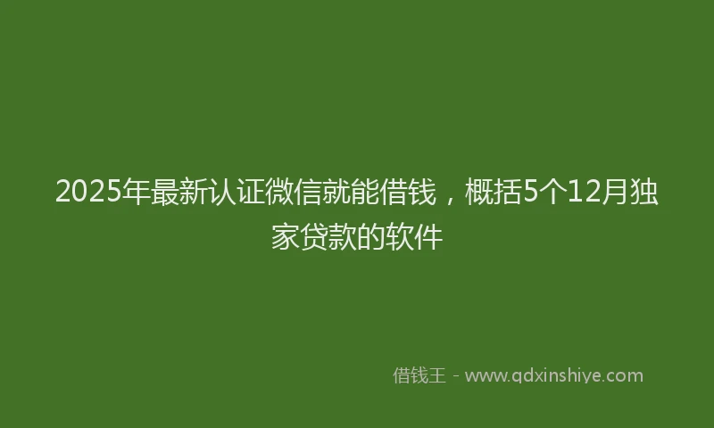 2025年最新认证微信就能借钱，概括5个12月独家贷款的软件