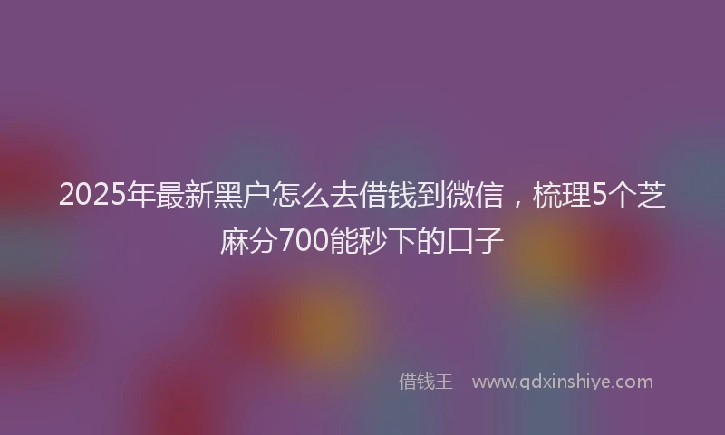 2025年最新黑户怎么去借钱到微信，梳理5个芝麻分700能秒下的口子