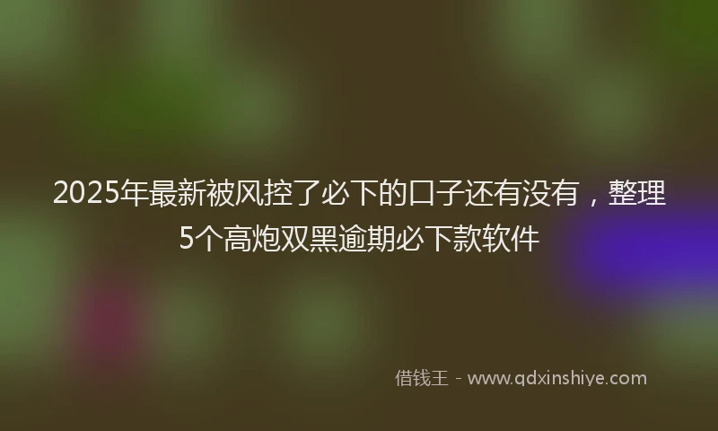 2025年最新被风控了必下的口子还有没有，整理5个高炮双黑逾期必下款软件
