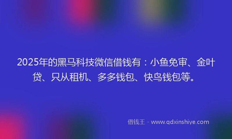 2025年的黑马科技微信借钱有：小鱼免审、金叶贷、只从租机、多多钱包、快鸟钱包等。