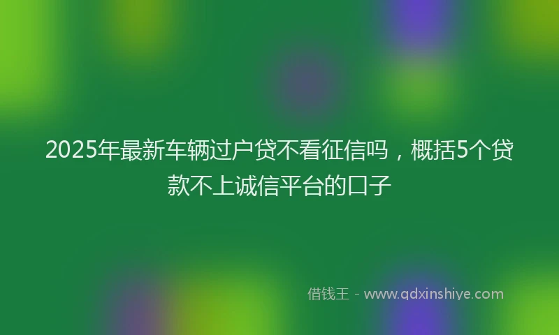 2025年最新车辆过户贷不看征信吗，概括5个贷款不上诚信平台的口子