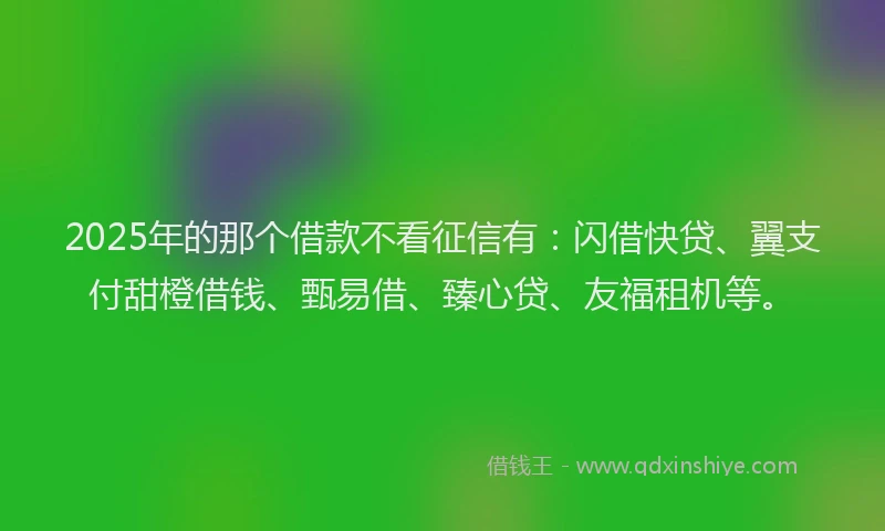 2025年的那个借款不看征信有：闪借快贷、翼支付甜橙借钱、甄易借、臻心贷、友福租机等。