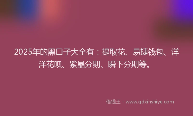 2025年的黑口子大全有：提取花、易捷钱包、洋洋花呗、紫晶分期、瞬下分期等。