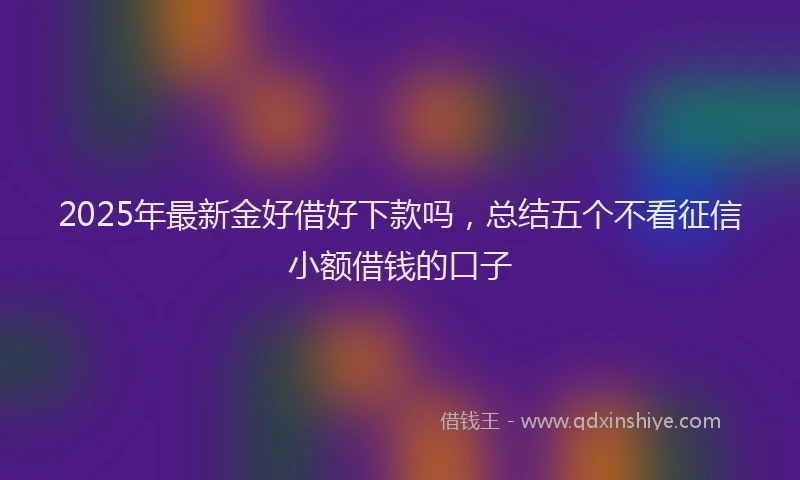 2025年最新金好借好下款吗，总结五个不看征信小额借钱的口子