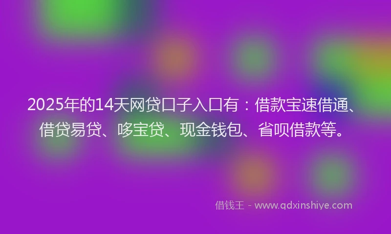 2025年的14天网贷口子入口有：借款宝速借通、借贷易贷、哆宝贷、现金钱包、省呗借款等。