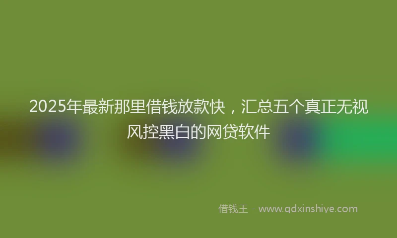 2025年最新那里借钱放款快，汇总五个真正无视风控黑白的网贷软件