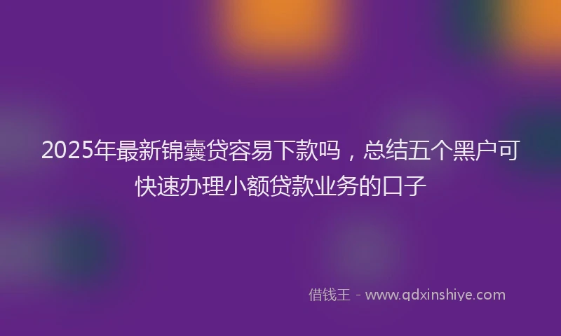 2025年最新锦囊贷容易下款吗，总结五个黑户可快速办理小额贷款业务的口子